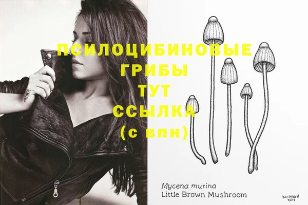 винт Покров
